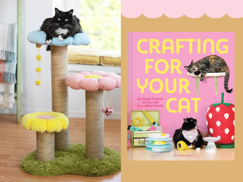 Book Review: Crafting for Your Cat