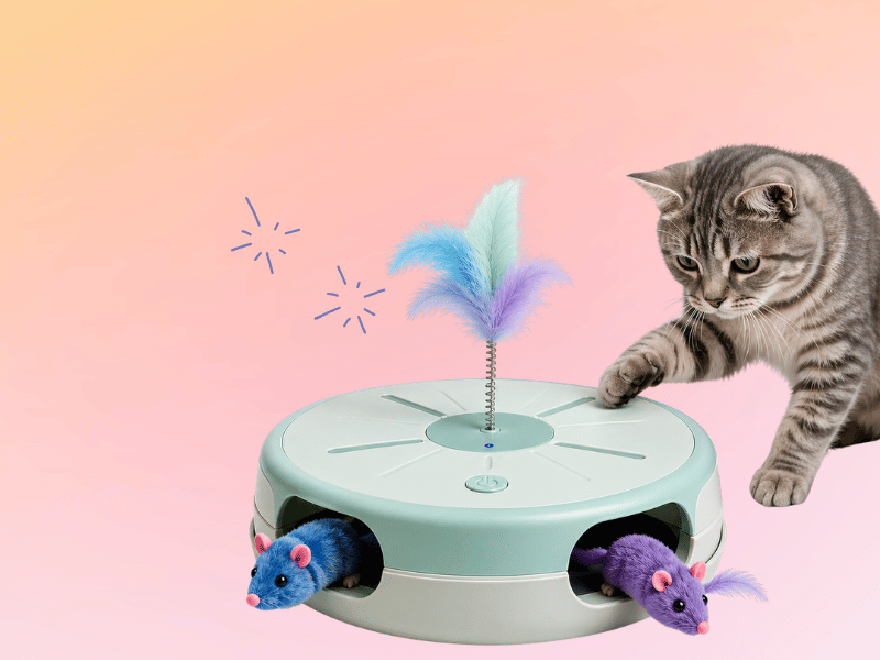 Cat Products You Don’t Need (And What to Buy Instead)