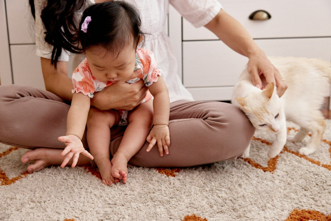 How To Introduce A Cat To A Child: 7 Tips For A Smooth Interaction