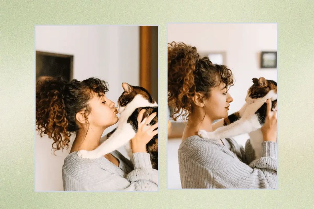 10 Things Your Cat Wants You To Keep Doing