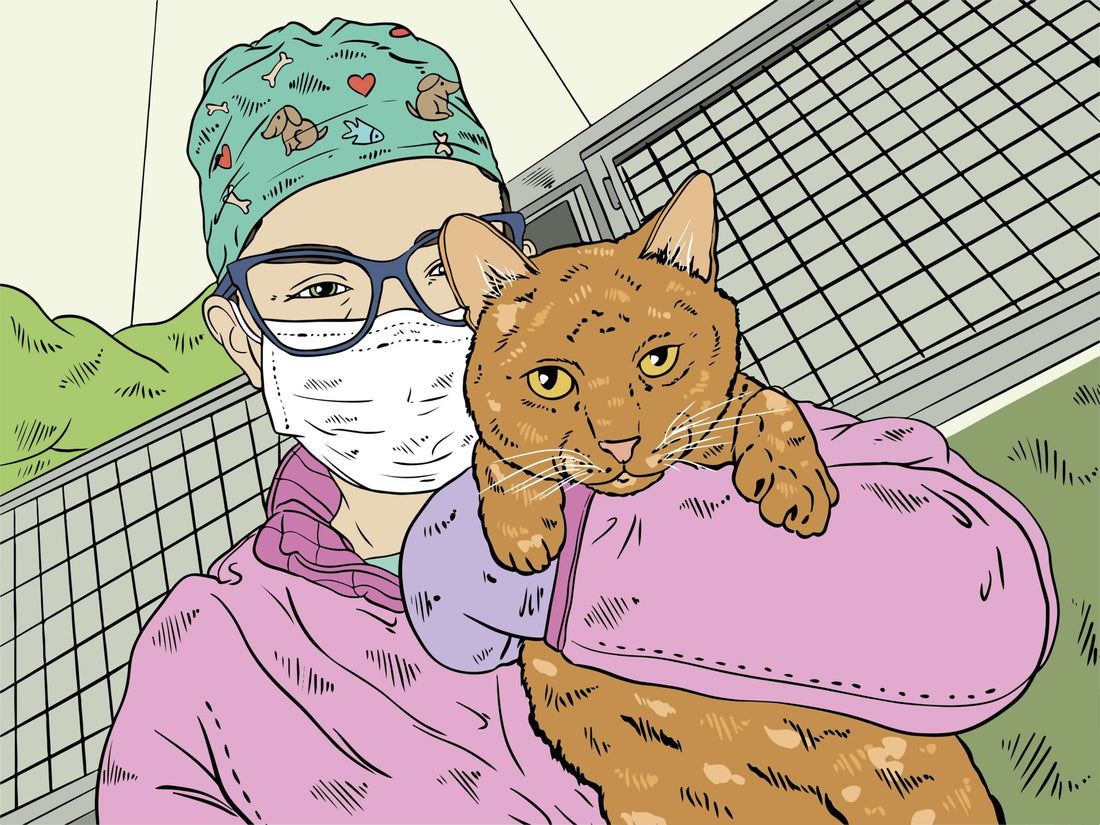 Vet Tech Pros and Cons: What Nobody Tells You About Working in Veterinary Medicine
